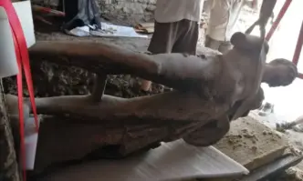 Местят я в Историческия музей в Петрич Започна преместването на