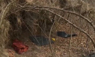 Бивак устроен за кратковременен престой на мигранти откриха в гората