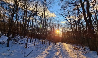 Днес до обяд в низините и котловините в Южна България