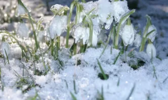 Днес преди обяд над по голямата част от страната ще бъде