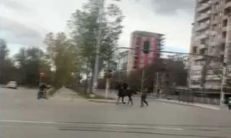 Деца яздиха кон на голям булевард в София Това стана