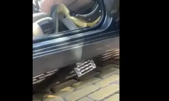 Автомобил беше пробит от решетка пред президентството (ВИДЕО/СНИМКИ)