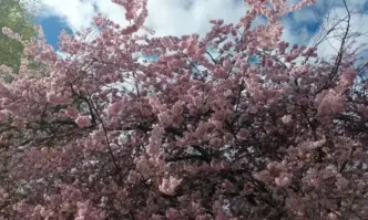 Днес ще преобладава слънчево време но от югозапад облачността ще