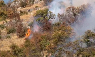 Пожар край пътя София-Калотина, движението е ограничено