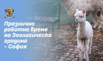 В дните около Коледа Зоологическата градина ще работи без почивен