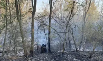 Задържаха мъж за пожара на Гребната база в Пловдив Това