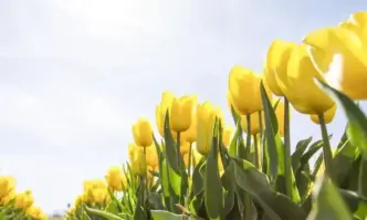 В неделя ще бъде слънчево с разкъсана висока облачност Ще