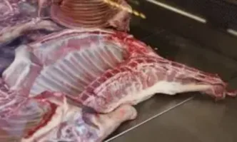 Агнешкото е на цените от миналата година има достатъчно българско