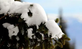 На 31 декември времето в по голямата част от страната ще