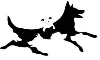 Разгледайте добре снимката и кучетата на нея те могат