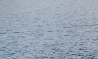 Двама рибари са изчезнали в езеро край Бургас