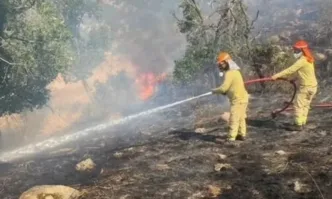 Пожарникари в Турция водят битка с множество горски пожари които