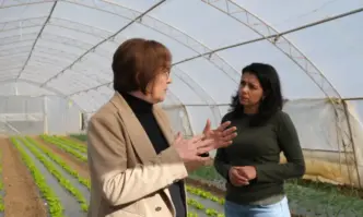 Най сетне стигнах до Троян Ето така изглежда част от зеленчуковата