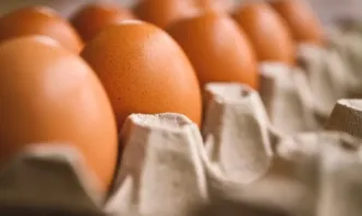 Цените на яйцата достигнаха рекордно високи стойности в САЩ на