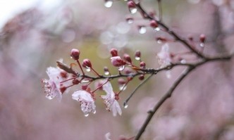 Още преди обяд над Западна България а следобед и над