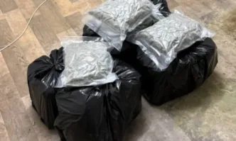 Служители на Главна дирекция Гранична полиция разкриха нарколаборатория в частен