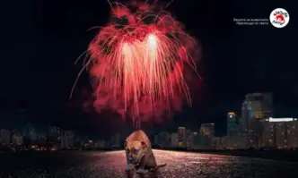 Фондацията апелира за отговорно честване на празниците и за Нова