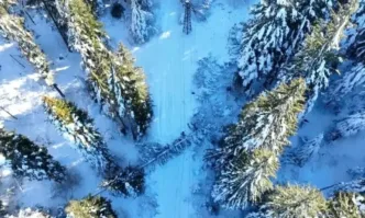 ЕРМ Запад съобщи за над 30 счупени от снега стълба и