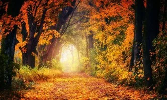 Есенно равноденствие – завърта се колелото на живота
