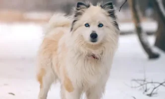 От Националния институт по метеорология и хидрология обявиха жълт код