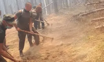 Овладени са пожарите в Източните Родопи между Свирачи и Орешино