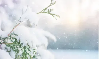 С понижението на температурите в голяма част от страната дъждът