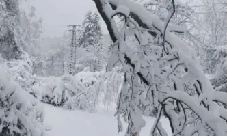Граждани на няколко столични квартала внасят колективна жалба срещу електроразпределителното