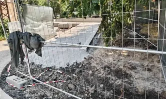 Столична община отново преоткри себе си Събориха дърво на ул Стамболийски