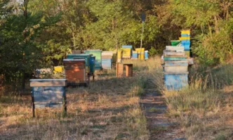 Напрежение и страх са обзели жителите на казанлъшкото село Ясеново