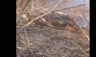 В селото продължаваше да се усеща миризма от тлеещото четвърти