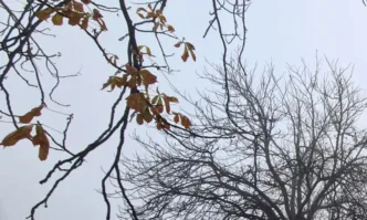 В събота в Дунавската равнина и по Черноморието ще се