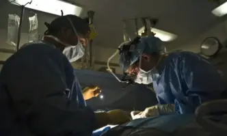 Американски хирурзи за първи път присадиха свински бъбрек на жив пациент