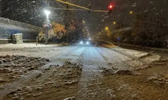 Зимна блокада: 13 района в София без ток, булеварди и улици са непочистени (СНИМКИ)