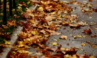 Прогноза за силен вятър в София, общината зове гражданите да бъдат внимателни