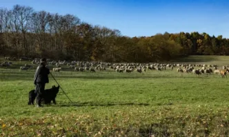 Овцевъди са готови да блокират границите с Гърция и Северна