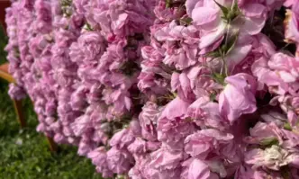 Министерството на земеделието и храните МЗХ ще организира проверки на