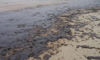 Петна от мазут на варненския бряг бяха забелязани от граждани
