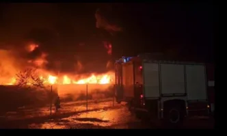 Над 100 животни изгоряха при пожар във ферма край Лясковец