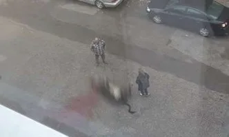 Мъж от Гоце Делчев заколи крава на пътя, кара се със съседка заради забележка