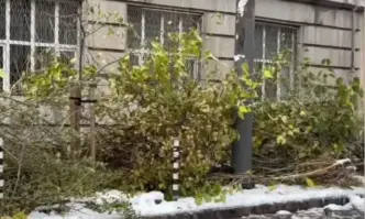 Ситуацията в София е овладяна Васил Терзиев кмет 27