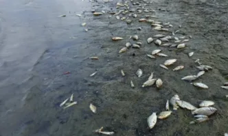 Язовир Копринка осъмна с гледка която всява тревога и възмущение