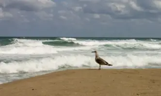 Пореден ден с непоносима жега чака цялата страна и днес