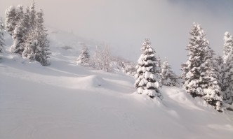 Група скиори попаднаха в плен на лавина в Мальовишкия дял