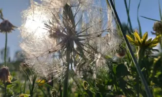 Валежи и гръмотевици ще определят времето и тази седмица За
