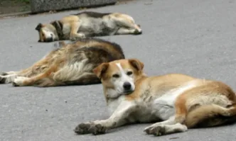 Министерският съвет прие Отчет за изпълнение на Националната програма за