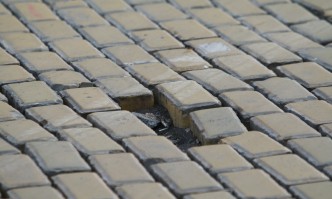 От редакционната поща hellip Какво е характерно за новия биологичен вид хлеботърс