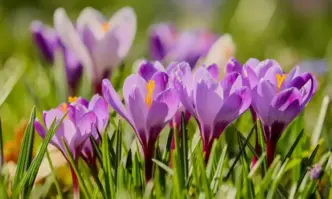 Сутринта валежите ще спрат а облачността ще се разкъса и