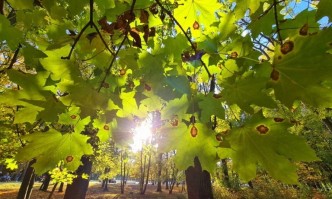 Днес ще преобладава слънчево време с временни увеличения на облачността