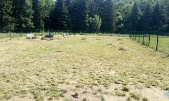 Обещано – изпълнено: Тревата е окосена на мястото за разходка на кучета в Южен парк