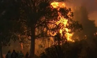 Огромни пожари продължават да бушуват в Гърция и Турция